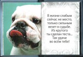 Сильной половине3